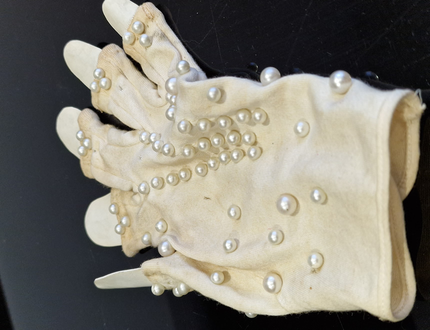 Dan Hartman - Bass Glove